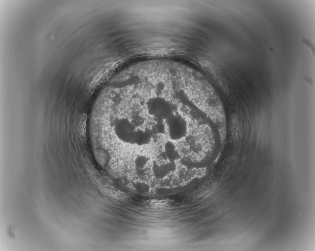 X0000102040495200808151410