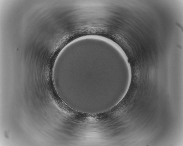 X0000102040496200808151410