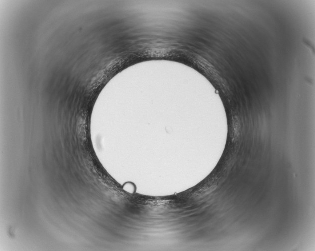 X0000102040497200808151410