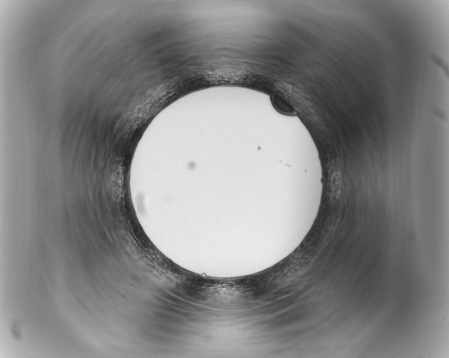 X0000102040498200808151410