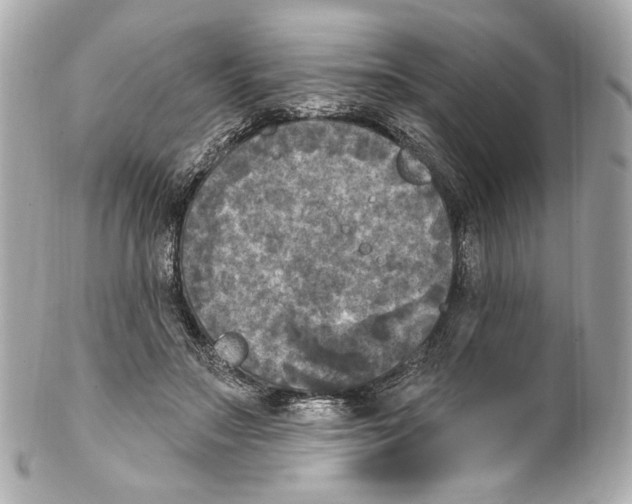 X0000102040499200808151410