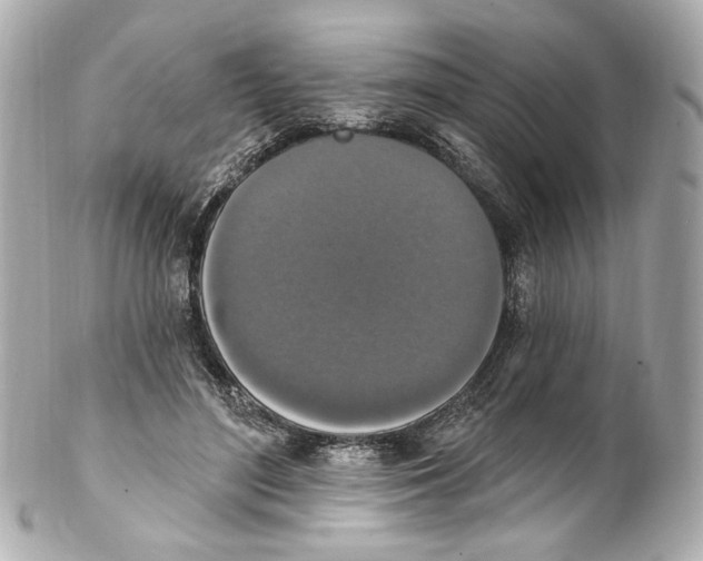 X0000102040500200808151410