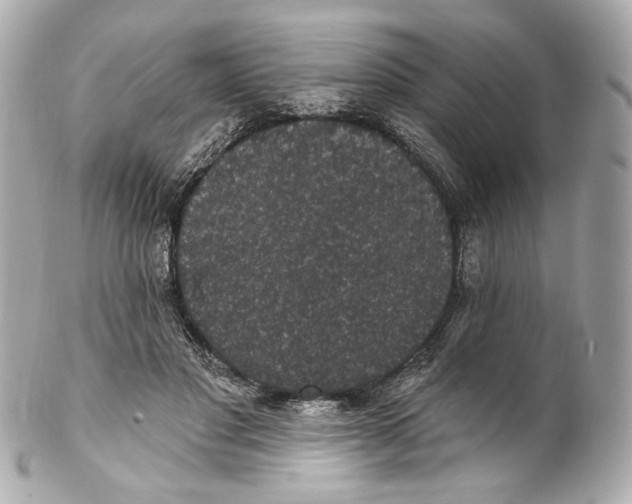 X0000102040501200808151410