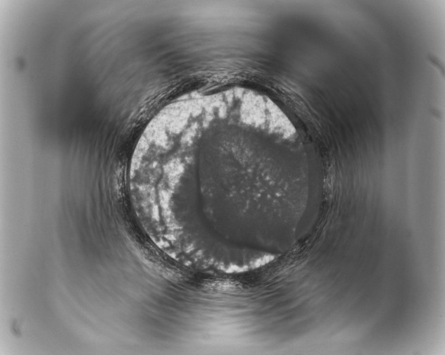 X0000102040503200808151410