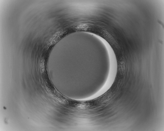 X0000102040504200808151410