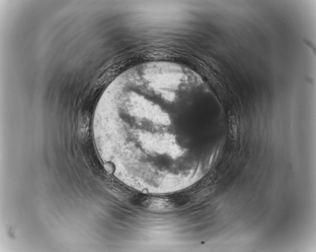 X0000102040507200808151410