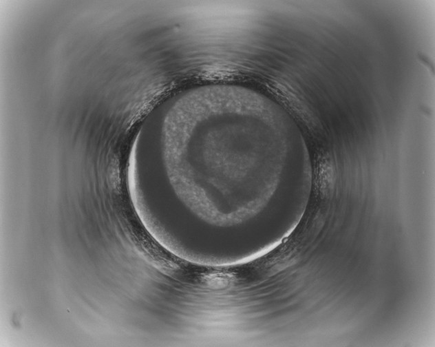 X0000102040508200808151410
