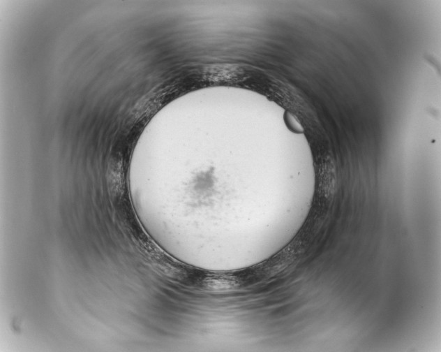 X0000102040510200808151410