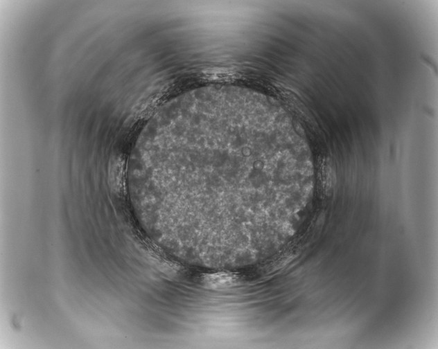 X0000102040511200808151410