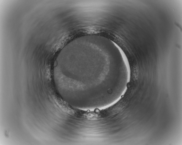 X0000102040512200808151410