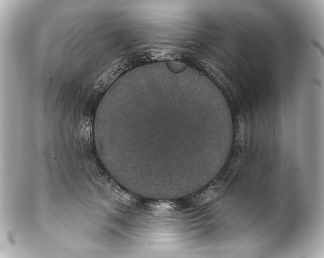 X0000102040513200808151410