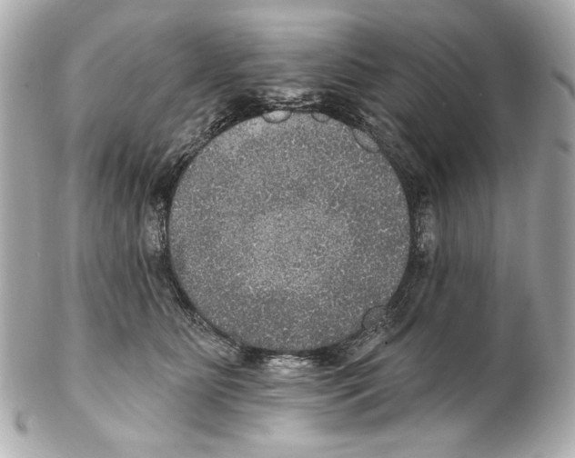 X0000102040515200808151410
