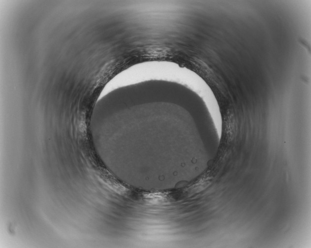 X0000102040516200808151410