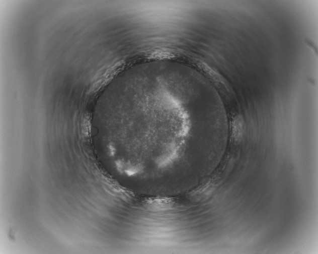 X0000102040517200808151410