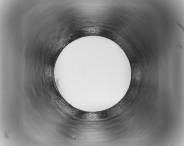 X0000102040518200808151409