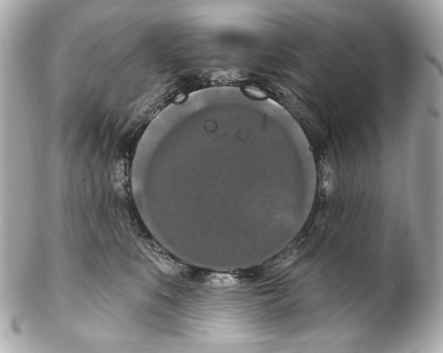 X0000102040519200808151409