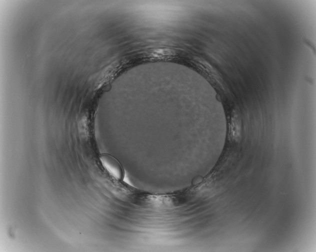 X0000102040520200808151409