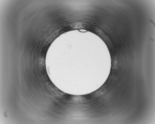 X0000102040521200808151409