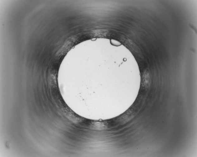 X0000102040522200808151409