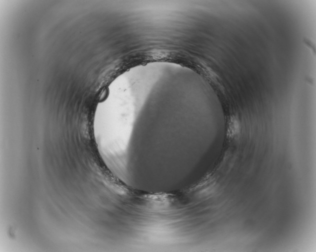 X0000102040524200808151409