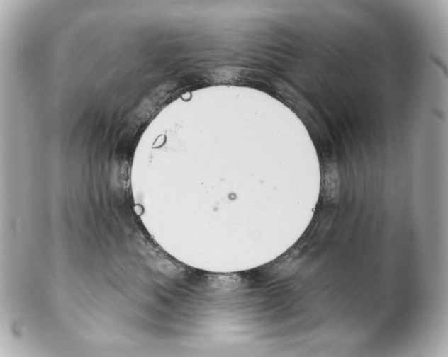 X0000102040525200808151409