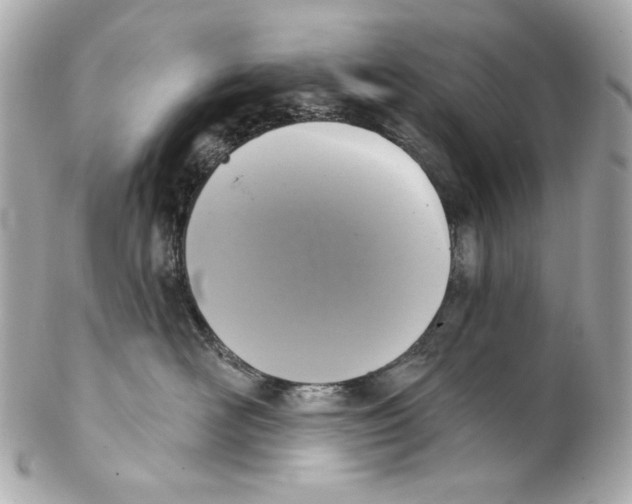 X0000102040526200808151409