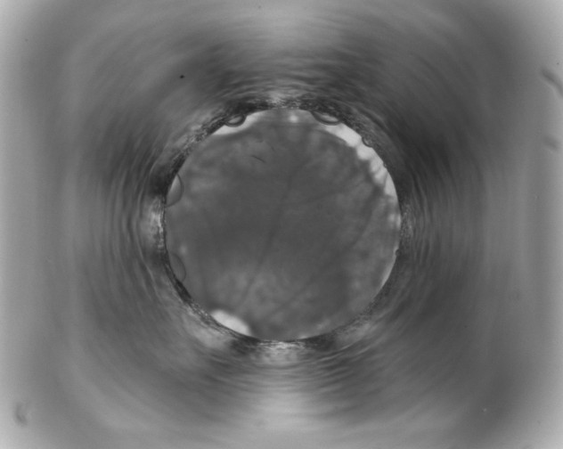 X0000102040527200808151409