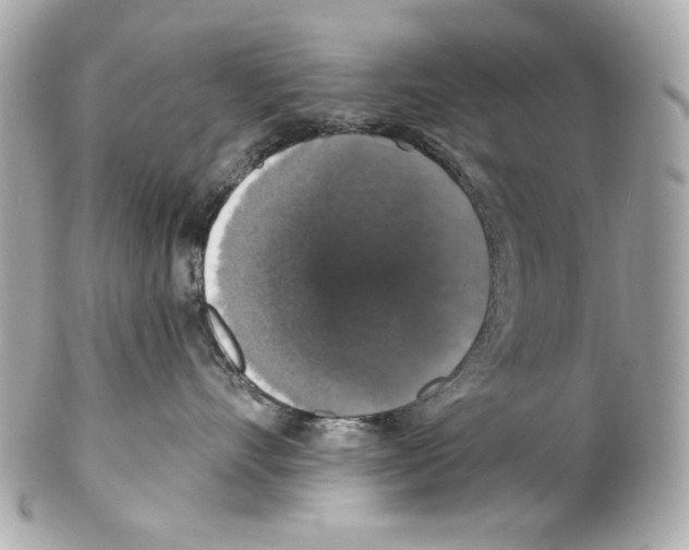X0000102040528200808151409