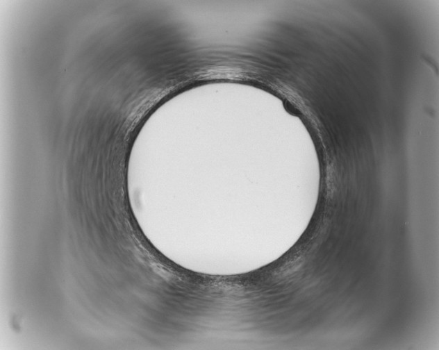 X0000102040529200808151409