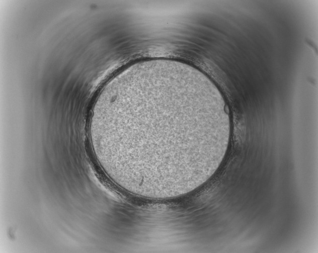 X0000102040530200808151409
