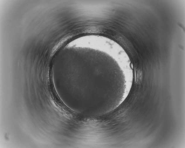 X0000102040531200808151409