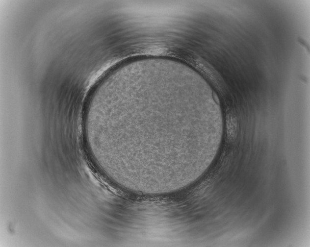 X0000102040532200808151409