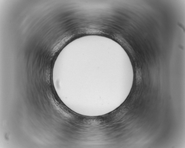 X0000102040533200808151409