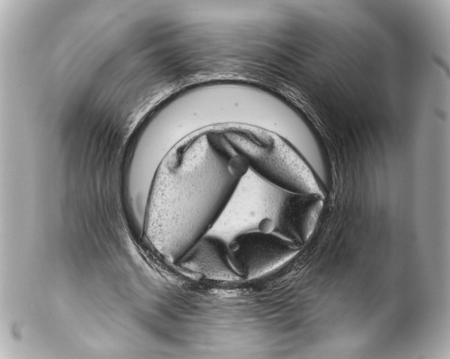 X0000102040534200808151409