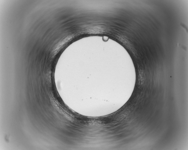X0000102040535200808151409