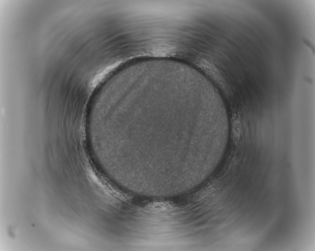 X0000102040536200808151409