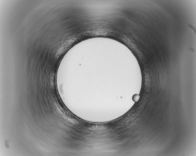 X0000102040537200808151409