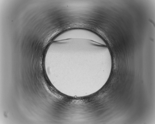 X0000102040538200808151409