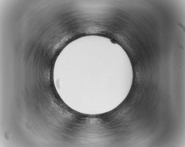 X0000102040539200808151409