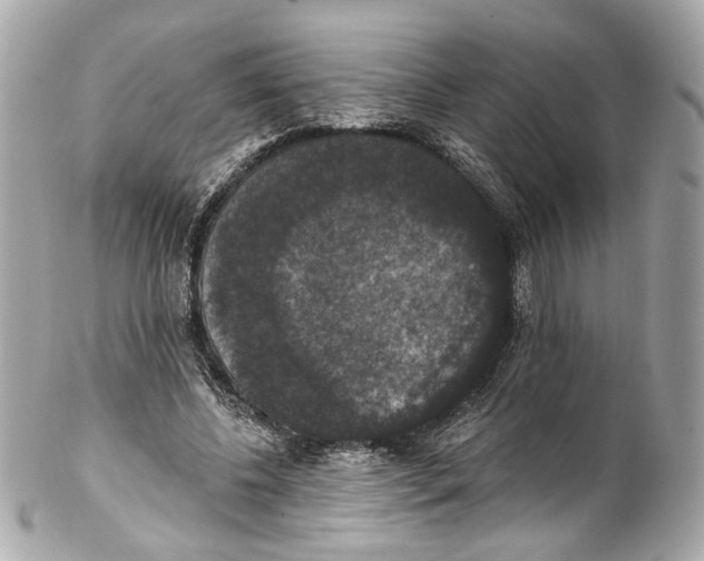 X0000102040540200808151409