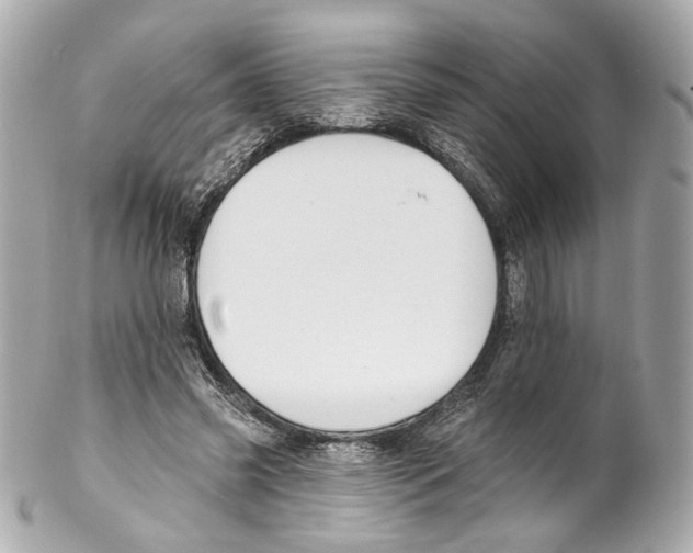 X0000102040541200808151409