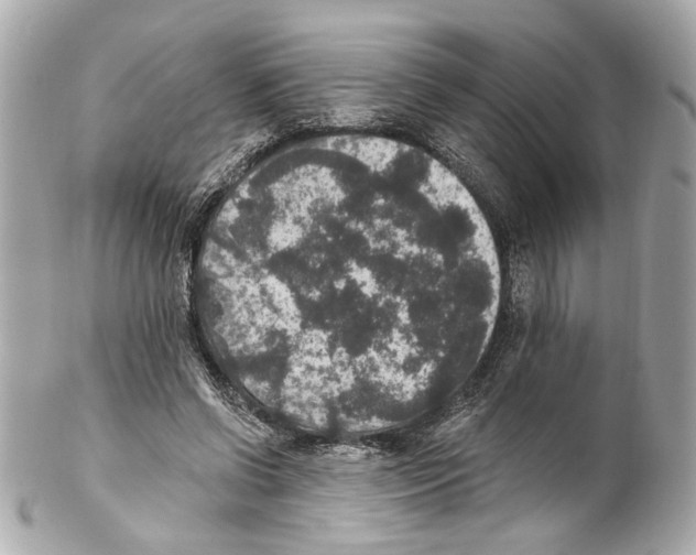 X0000102040542200808151409
