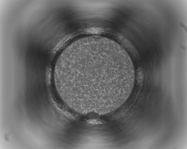 X0000102040544200808151409