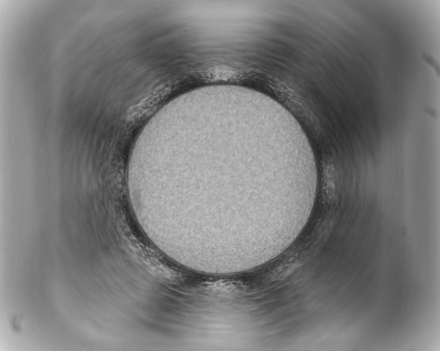 X0000102040545200808151409