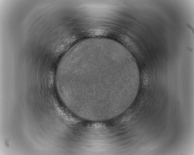 X0000102040546200808151409