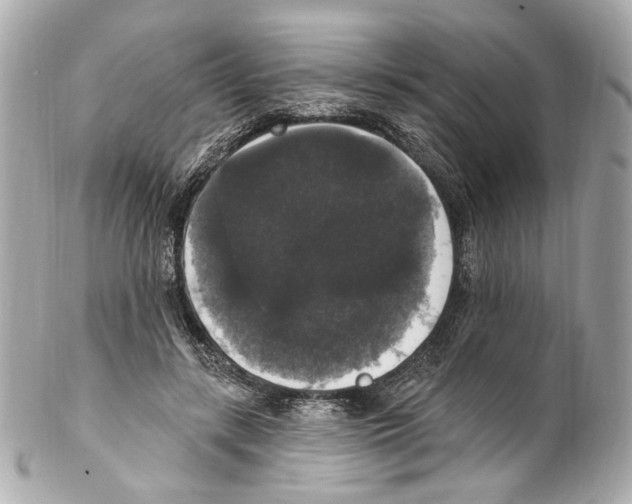 X0000102040547200808151409