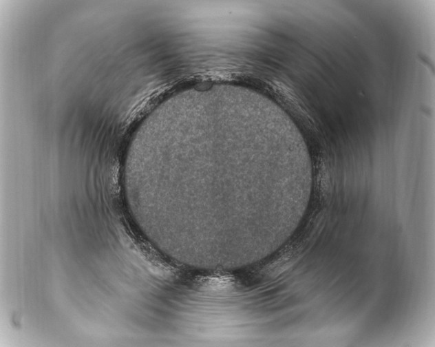 X0000102040548200808151409