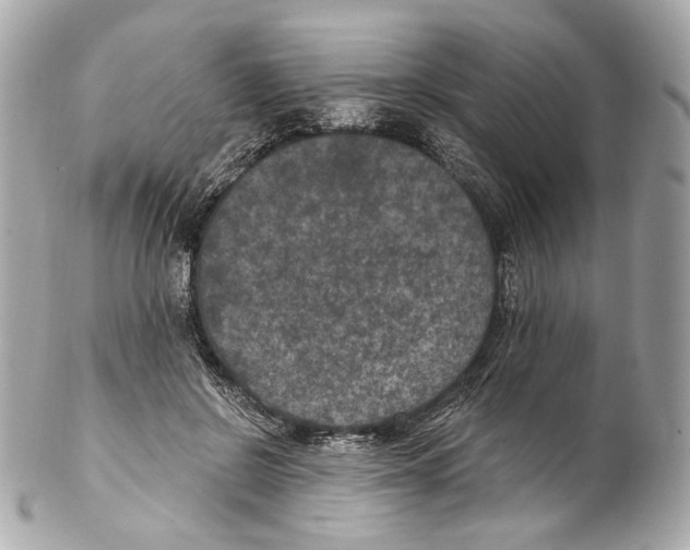 X0000102040550200808151409