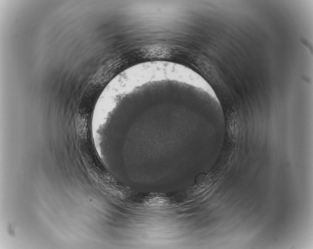 X0000102040551200808151409