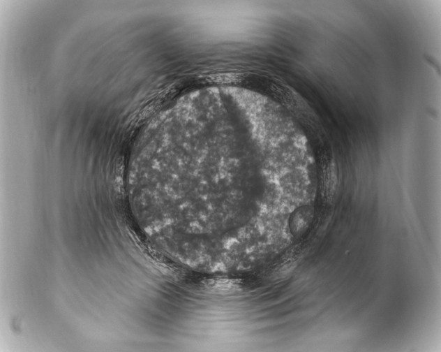 X0000102040553200808151409